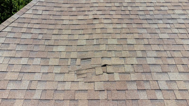 Asphalt Roof Inspection in Cecil County, MD