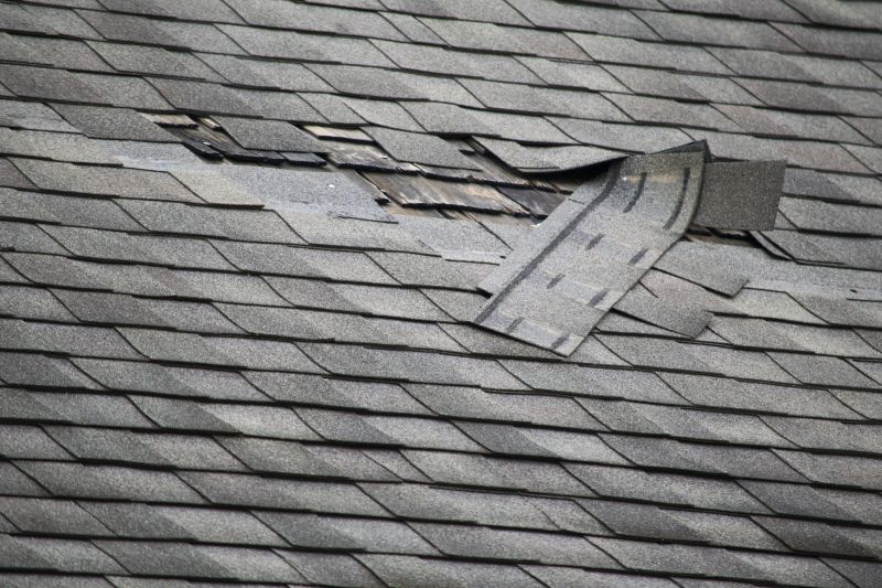 Asphalt Roof Leak Repair in Claymont, DE