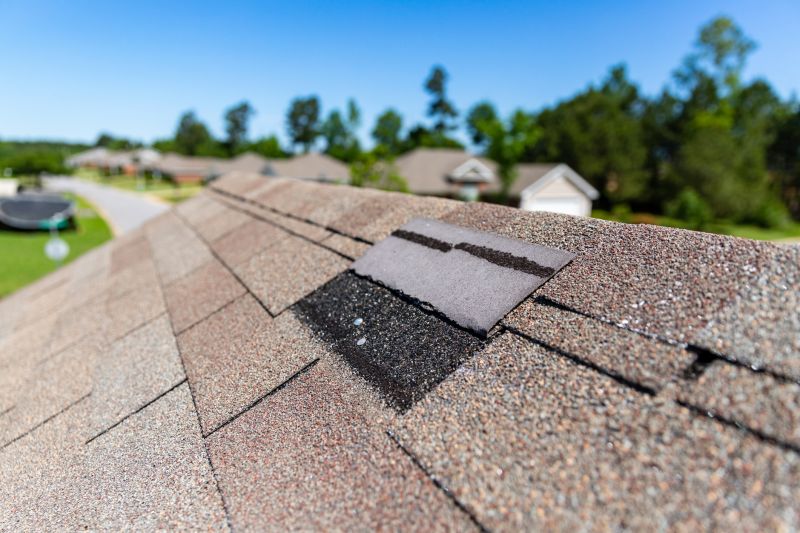 Asphalt Roof Leak Repair in Middletown, DE