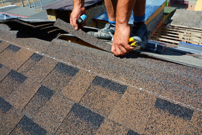 Asphalt Roof Repair in Middletown, DE