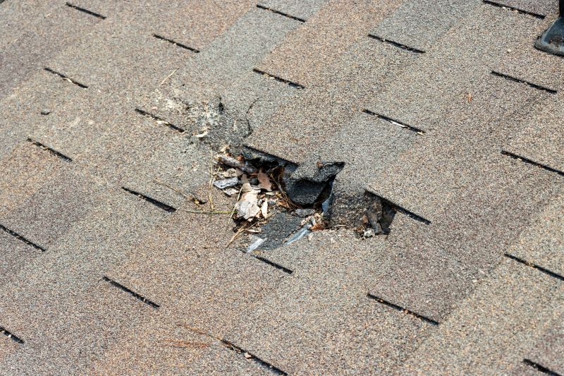 Asphalt Roof Replacement in Chester, PA