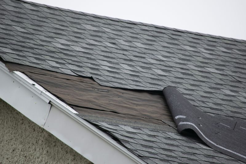 Asphalt Shingles Repair in New Castle County, DE