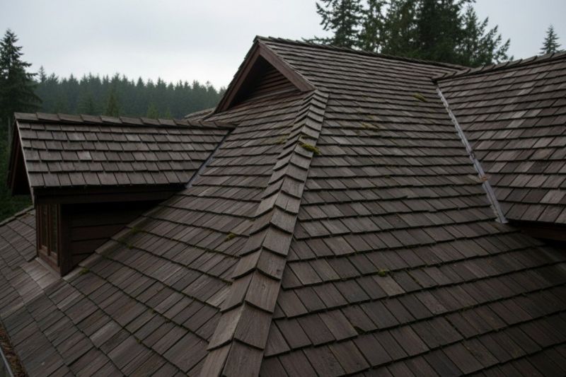 Cedar Shake Roof Replacement in New Castle County, DE