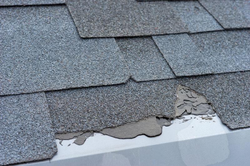 Damaged Roof Repair in Rising Sun, MD