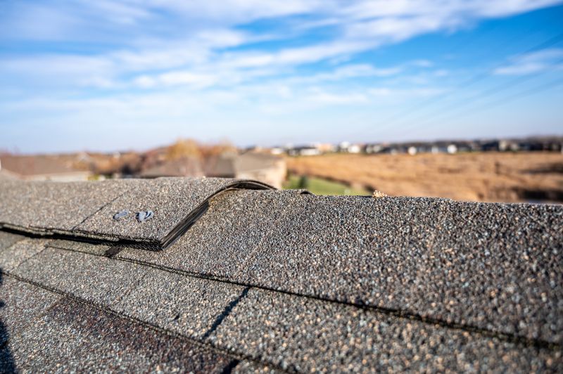 Damaged Roof Repair in Salem County, NJ