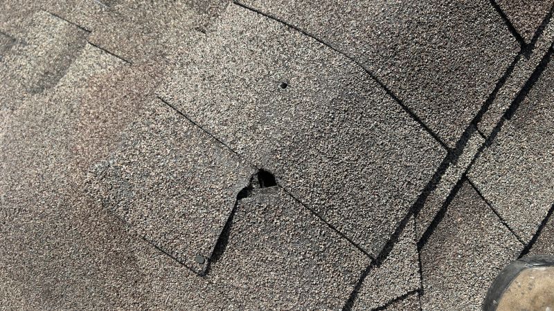 Damaged Roof Repair in Townsend, DE