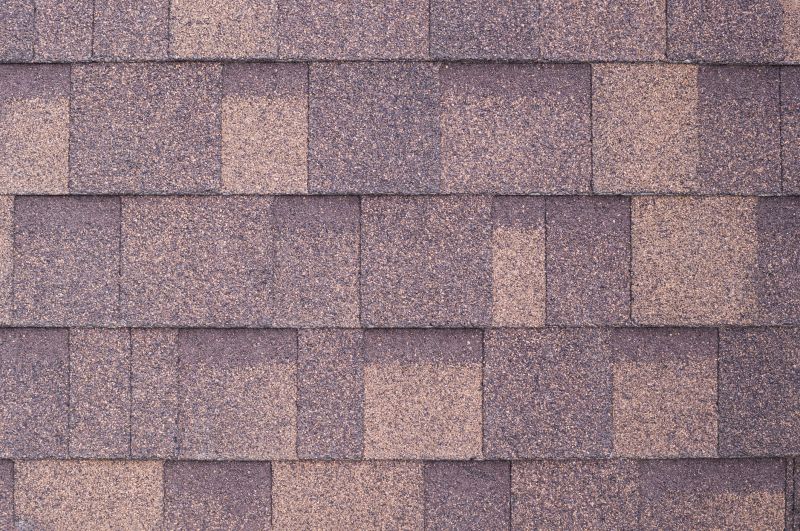 Fiberglass Shingles Repair in New Castle County, DE