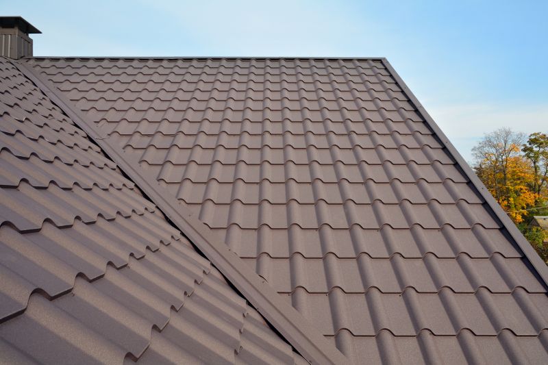 Metal Roof Installation in Salem County, NJ