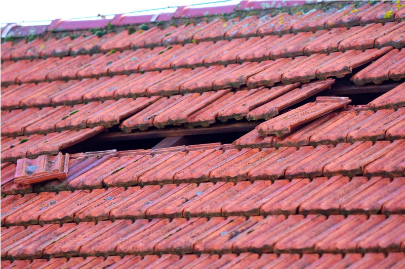 Roof Damage Inspection in Salem County, NJ