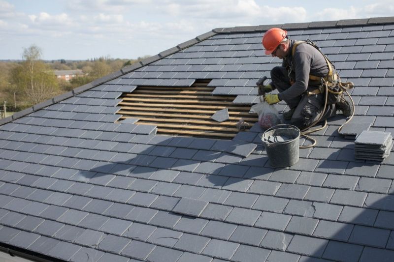Slate Roof Repair in Odessa, DE